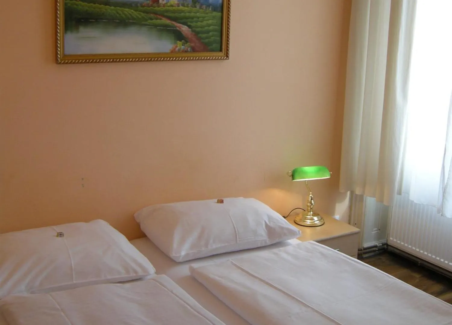 Pension Schottentor Viena 3*,
